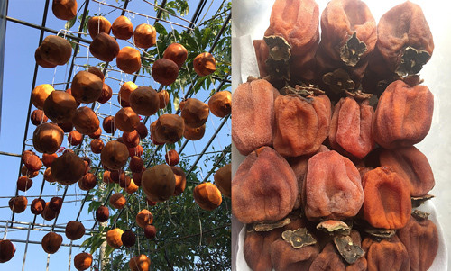 Chị chia sẻ hồng treo nên mang ra ngoài khi trời nắng vừa, vì nếu nắng to hồng sẽ nhanh mất nước, quả bị khô, không còn dẻo ngon. Làm hồng treo gió rất dễ bị hỏng nhất là khi trời mưa ẩm nên mình cần đặc biệt lưu ý.