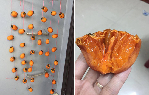 Tường Vi (Quảng Trị)cho biết côthấy mọi người thi nhau làm món này nêncũng học làm theo. Hồng mua về gọt sạch vỏ, cho vào nước ngâm rượu 3-5 phút, để ráo rồi mang treo khoảng 3,4 ngày ngoài trời nắng là đem vào ăn."Tôi mua 3 kg được40 quả, làm xong chỉ còn lại một chút. Hồng tôi làm chưa khô lắm, nhưng vì hóng quánên ăn sớm. Ăn vào đã thấy ngon lắm rồi, ngon hơn cả ngoài hàng bán sẵn.Hết mẻ này tôi sẽ làm mấy mẻ nữa, để ăn dần không sắp hết mùa rồi", Vi nói. Tường Vi, cho biết hồng cô treo khoảng 3,4 ngày ngoài trời nắng là ăn được. Ngày treo ngoài trời, tối đem vào để tránh sương. Tôi mua 3 kg 40 quả, làm xong chỉ còn lại một chút. Hồng tôi làm chưa khô lắm, nhưng vì hóng ăn nên ăn sớm. Ăn vào đã thấy ngon lắm rồi, lớp vỏ ngoài dai dai, bên trong mật ngọt.
