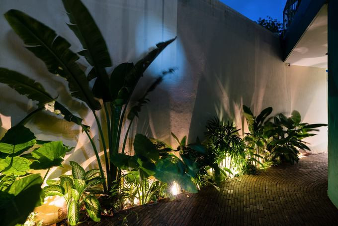 Ngôi nhà Sài Gòn sửa xong gia chủ không nhận ra ảnh 5 Ngôi nhà Sài Gòn sửa xong gia chủ không nhận ra