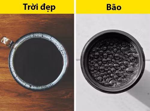 10 mẹo vặt có thể cứu bạn trong tình huống nguy hiểm - 5