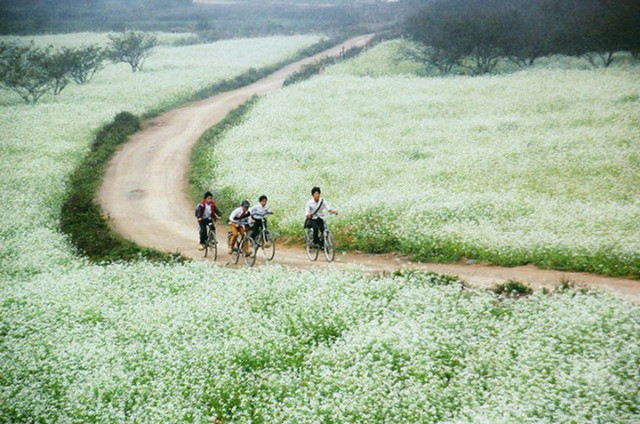 Đường lâu ngày không đi sẽ mọc đầy cỏ dại...