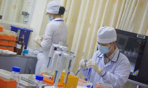 Các chuyên viên đang xử lý mẫu xét nghiệm tạiTrung tâm phân tíchADN và công nghệ di truyền. Ảnh: NT.