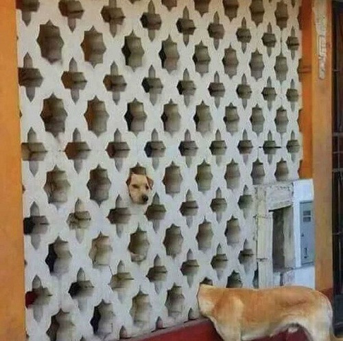 Gần nhau trong gang tấc nhưng xa cách tận chân trời.