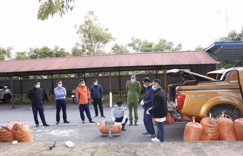 Lực lượng chức năng kiểm tra tang vật. Ảnh: CACC