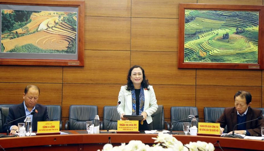 Bà Trần Thị Hoa Ry, Phó Chủ tịch Hội đồng Dân tộc của Quốc hội phát biểu tại buổi làm việc với tỉnh Lào Cai.