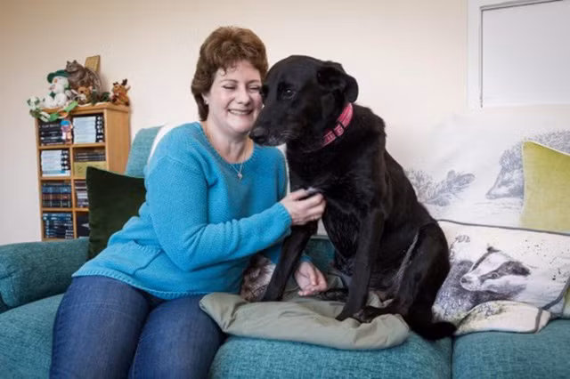 Chú chó “đánh hơi” được bệnh ung thư