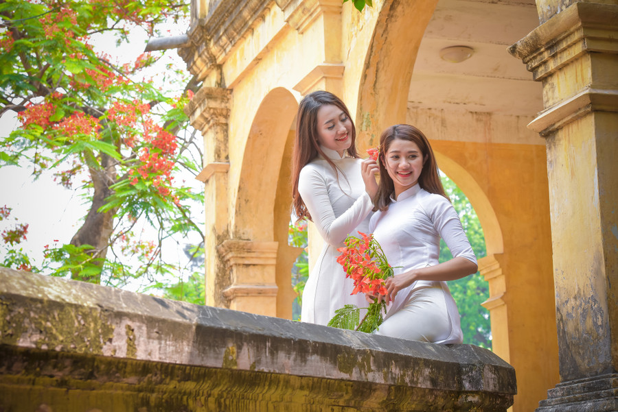 Thiếu nữ Hà thành mơ màng bên hoa phượng “rực cháy“ ảnh 21 Thiếu nữ Hà thành mơ màng bên hoa phượng “rực cháy“ ảnh 21