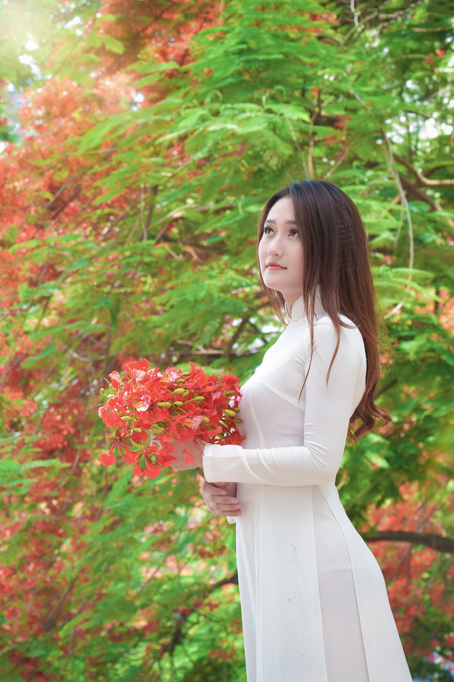 Thiếu nữ Hà thành mơ màng bên hoa phượng “rực cháy“ ảnh 11 Thiếu nữ Hà thành mơ màng bên hoa phượng “rực cháy“ ảnh 11