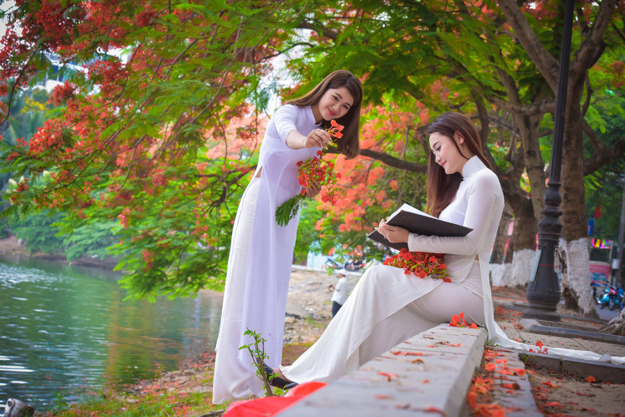 Thiếu nữ Hà thành mơ màng bên hoa phượng “rực cháy“ ảnh 6 Thiếu nữ Hà thành mơ màng bên hoa phượng “rực cháy“ ảnh 6