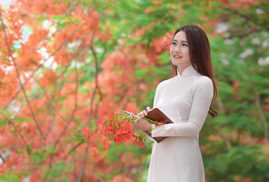 Thiếu nữ Hà thành mơ màng bên hoa phượng “rực cháy“ ảnh 22 Thiếu nữ Hà thành mơ màng bên hoa phượng “rực cháy“ ảnh 22