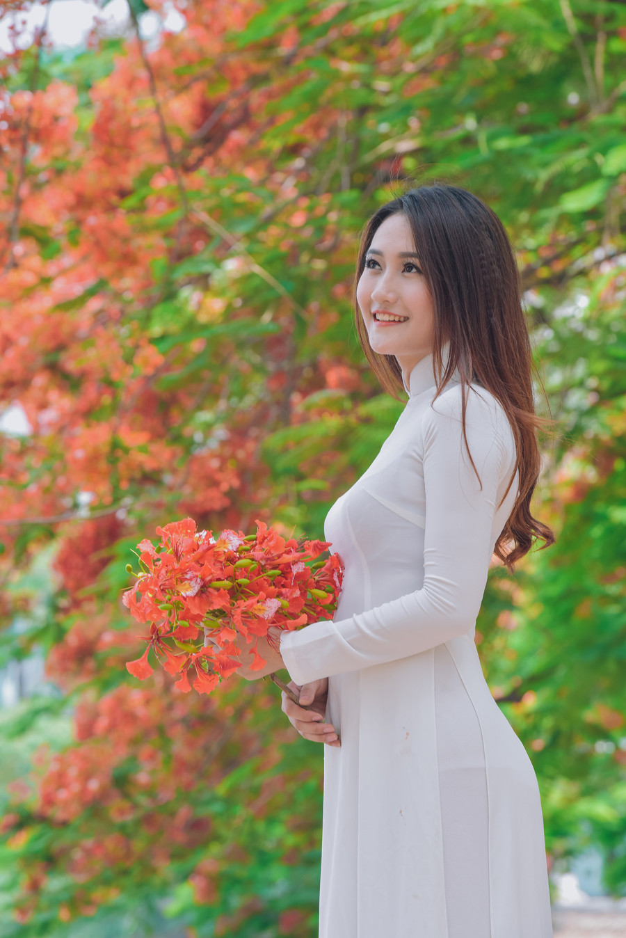 Thiếu nữ Hà thành mơ màng bên hoa phượng “rực cháy“ ảnh 7 Thiếu nữ Hà thành mơ màng bên hoa phượng “rực cháy“ ảnh 7