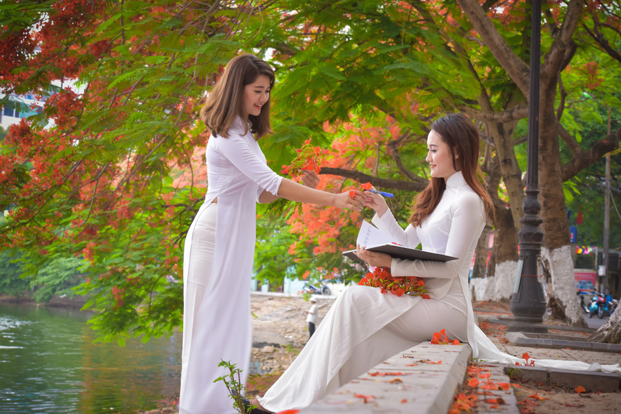 Thiếu nữ Hà thành mơ màng bên hoa phượng “rực cháy“ ảnh 4 Thiếu nữ Hà thành mơ màng bên hoa phượng “rực cháy“ ảnh 4