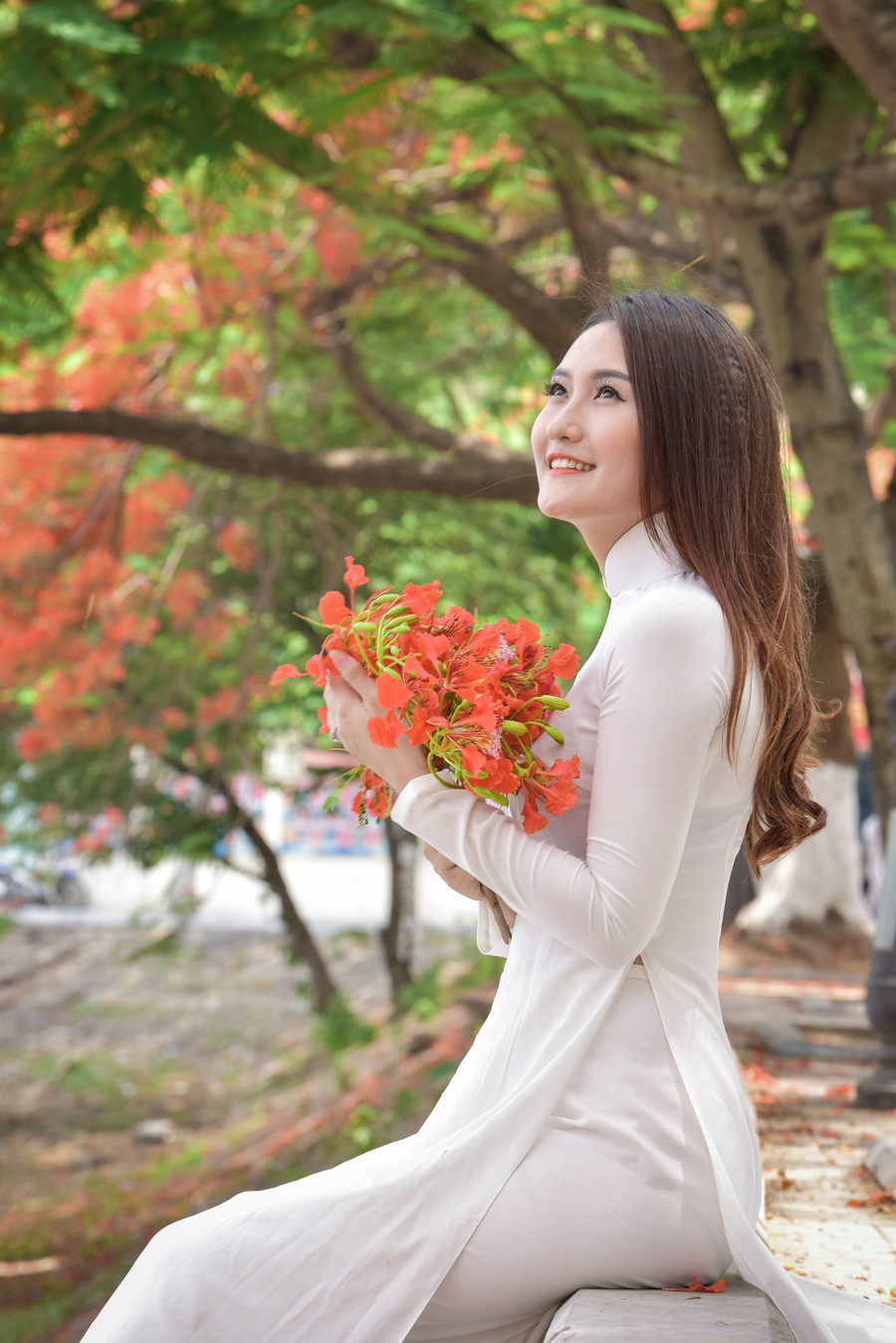 Thiếu nữ Hà thành mơ màng bên hoa phượng “rực cháy“ ảnh 8 Thiếu nữ Hà thành mơ màng bên hoa phượng “rực cháy“ ảnh 8
