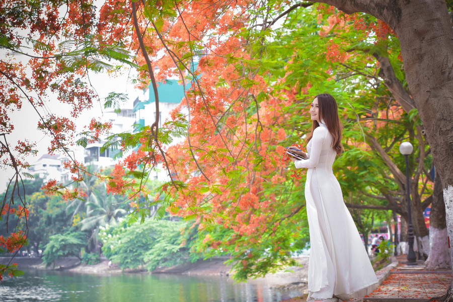 Thiếu nữ Hà thành mơ màng bên hoa phượng “rực cháy“ ảnh 17 Thiếu nữ Hà thành mơ màng bên hoa phượng “rực cháy“ ảnh 17