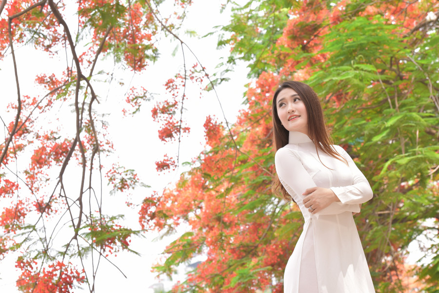 Thiếu nữ Hà thành mơ màng bên hoa phượng “rực cháy“ ảnh 10 Thiếu nữ Hà thành mơ màng bên hoa phượng “rực cháy“ ảnh 10