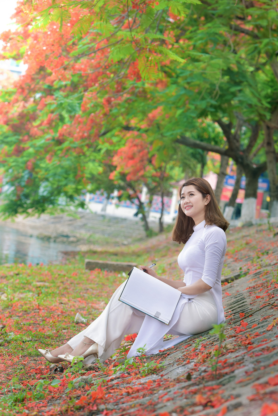 Thiếu nữ Hà thành mơ màng bên hoa phượng “rực cháy“ ảnh 9 Thiếu nữ Hà thành mơ màng bên hoa phượng “rực cháy“ ảnh 9