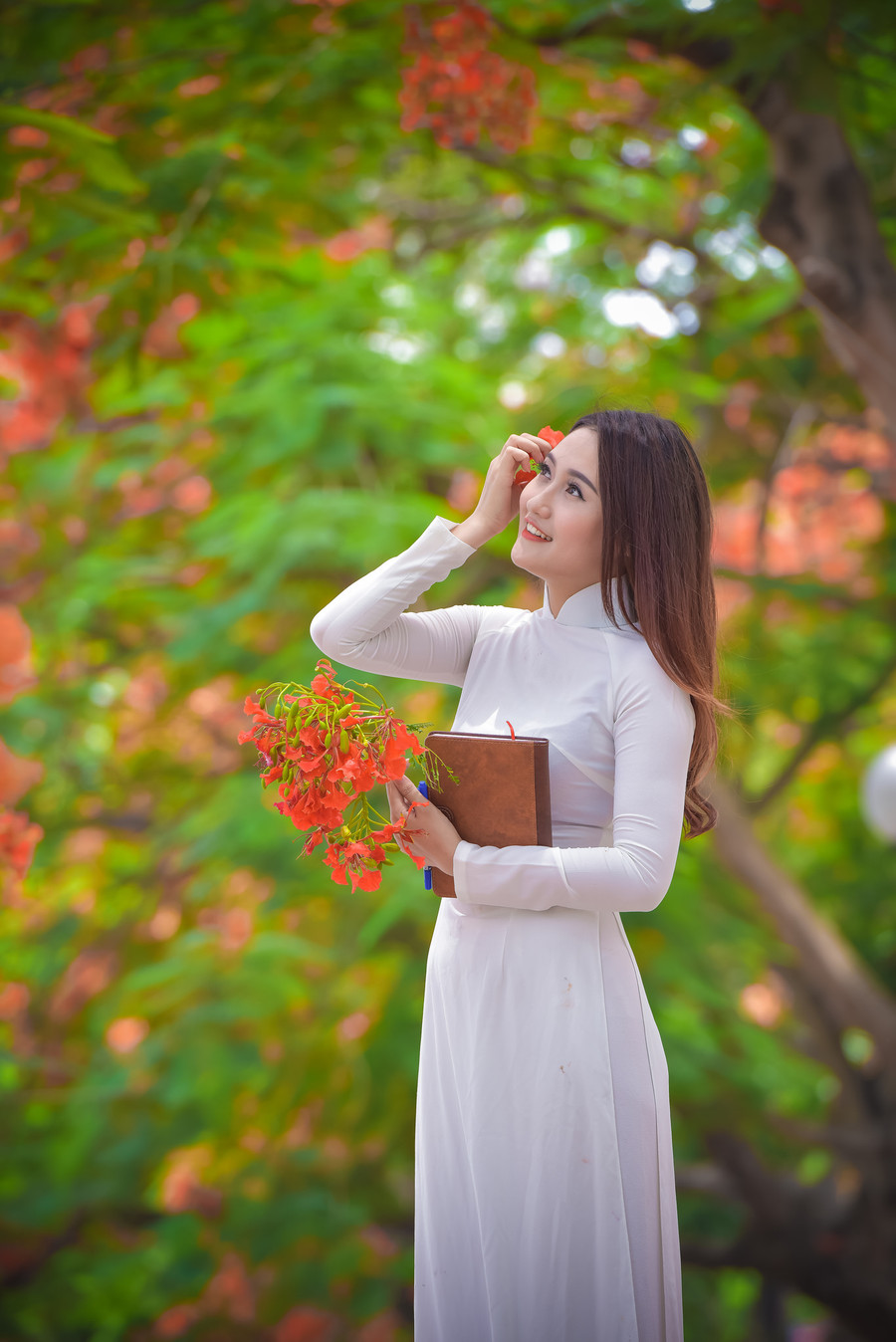 Thiếu nữ Hà thành mơ màng bên hoa phượng “rực cháy“ ảnh 16 Thiếu nữ Hà thành mơ màng bên hoa phượng “rực cháy“ ảnh 16