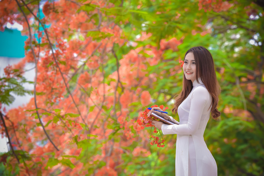 Thiếu nữ Hà thành mơ màng bên hoa phượng “rực cháy“ ảnh 15 Thiếu nữ Hà thành mơ màng bên hoa phượng “rực cháy“ ảnh 15