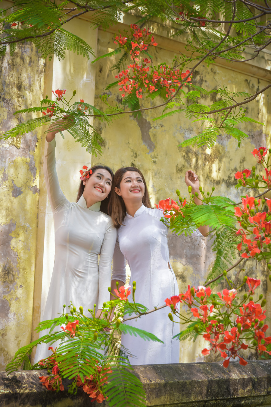 Thiếu nữ Hà thành mơ màng bên hoa phượng “rực cháy“ ảnh 13 Thiếu nữ Hà thành mơ màng bên hoa phượng “rực cháy“ ảnh 13