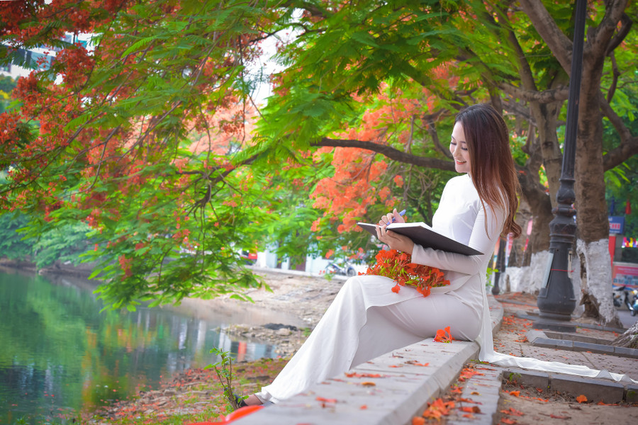 Thiếu nữ Hà thành mơ màng bên hoa phượng “rực cháy“ ảnh 18 Thiếu nữ Hà thành mơ màng bên hoa phượng “rực cháy“ ảnh 18