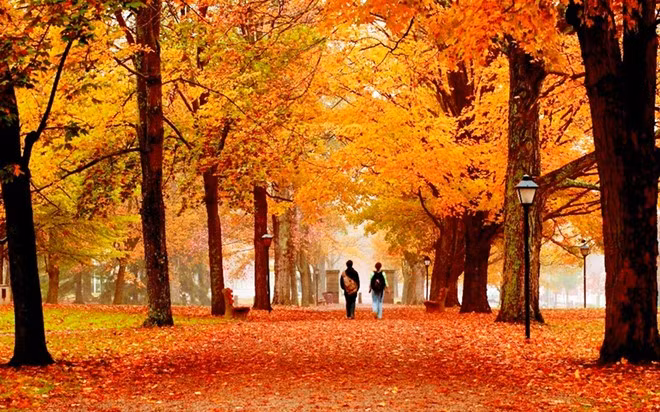 Nhung truong dai hoc dep nhat nuoc My hinh anh 2