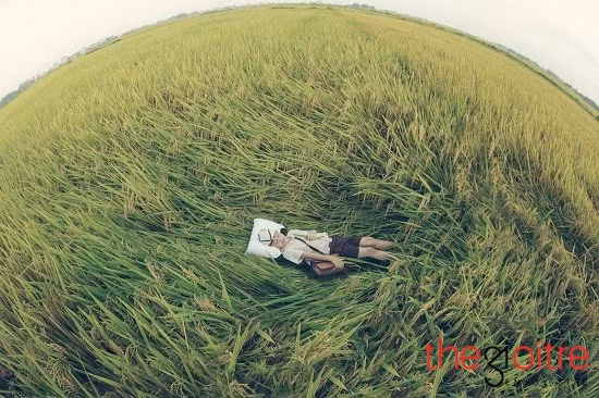 Với mong muốn tìm được khung cảnh thật nhất, đậm chất đồng quê, cả ê-kíp đã không ngại đường xa, “khăn gói” từ Hà Nội xuống tới Hưng Yên để tìm đến cánh đồng lúa Kim Động bấm máy. Với mong muốn tìm được khung cảnh thật nhất, đậm chất đồng quê, cả ê-kíp đã không ngại đường xa, “khăn gói” từ Hà Nội xuống tới Hưng Yên để tìm đến cánh đồng lúa Kim Động bấm máy.