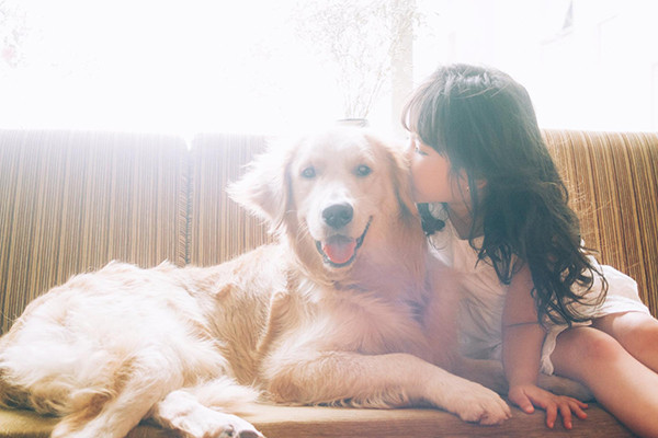 Còn chưa đi học lớp 1, Gia Linh đã lọt mắt xanh nhiều hãng thời trang. Cô nhóc hứa hẹn sẽ là mẫu nhí sáng giá trong tương lai. hot-girl-nhi-ha-thanh-5-tuoi-da-quen-mat-lam-nguoi-mau-10