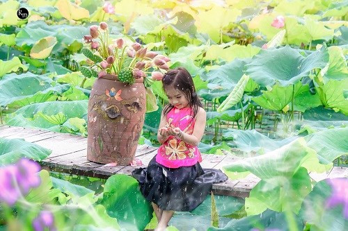 Vẻ đẹp duyên dáng của thiên thần nhí bên hoa sen