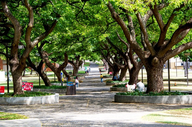 Đại học Hawaii ở Manoa là điểm đến nổi tiếng với khách du lịch. Tại đây, sinh viên và du khách có thể ngắm núi lửa Diamond Head nổi tiếng ở khoảng cách gần. Trường cũng nằm gần bãi biển Waikiki. Khuôn viên đẹp, vị trí thuận lợi giúp Đại học Hawaii có lợi thế lớn trong mùa tuyển sinh ở Mỹ. Nhung truong dai hoc dep nhat nuoc My hinh anh 10