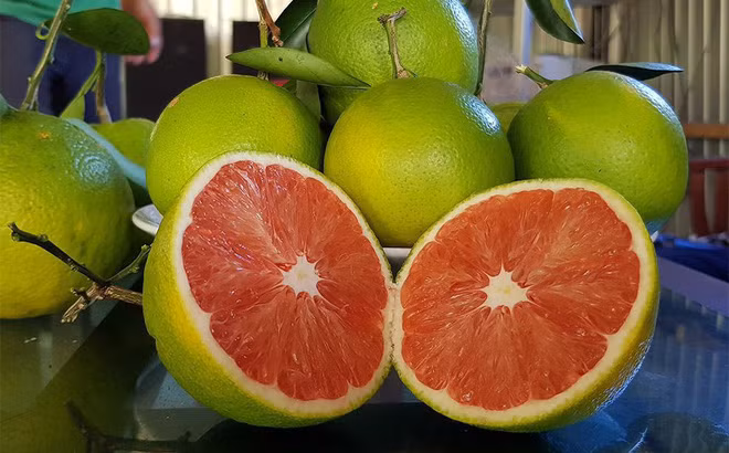 Cam ruột đỏ, một loại trái cây ruột màu lạ, được người bán quảng cáo có chứa chất lycopene và carotenoid chống ung thư, tốt cho tim mạch…