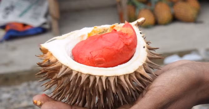 nhung loai qua ruot do khien chi em "chao dao" ngay khi xuat hien hinh anh 8