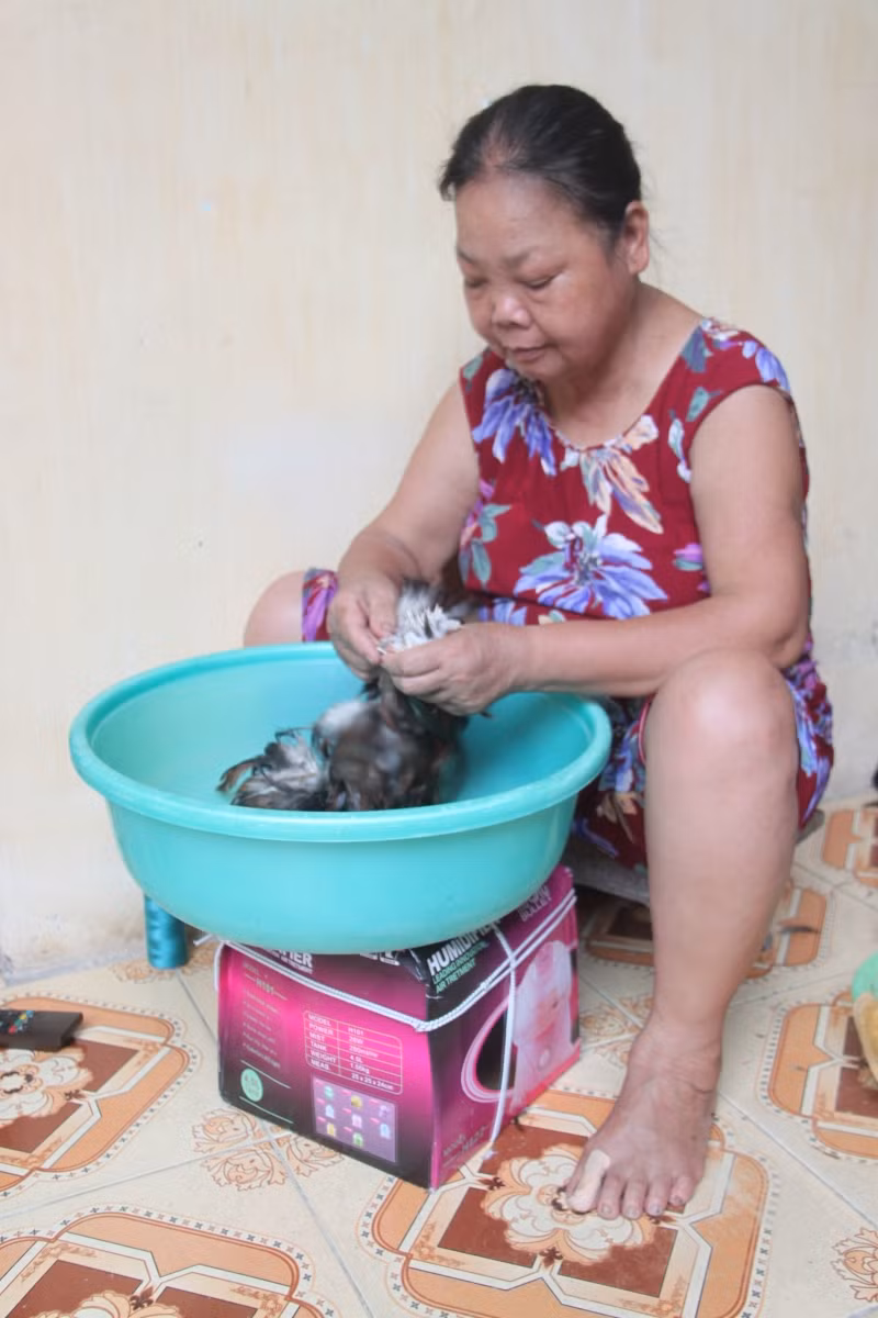 Làm chổi lông gà là một nghề cổ của Triều Khúc.