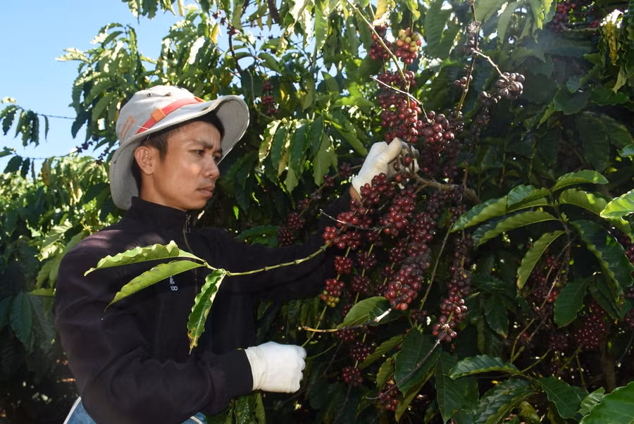 Kon Tum: Nỗ lực giảm nghèo bền vững, hạn chế tái nghèo và phát sinh nghèo mới ảnh 1