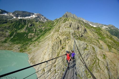 ron nguoi di qua cay cau treo dai va nguy hiem o thuy si hinh anh 2