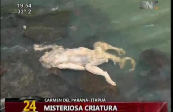 Sốc với sinh vật lạ tìm thấy ở Paraguay ảnh 3 Sốc với sinh vật lạ tìm thấy ở Paraguay ảnh 3