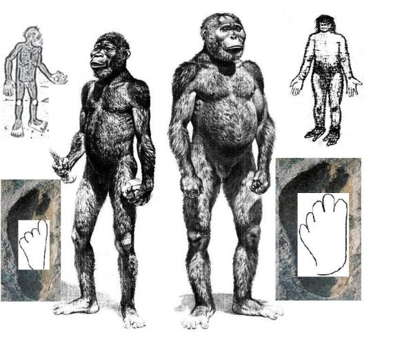 Sốc với sinh vật lạ tìm thấy ở Paraguay ảnh 4 Sốc với sinh vật lạ tìm thấy ở Paraguay ảnh 4