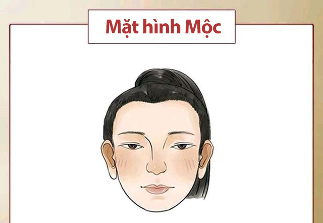 MOC MOC