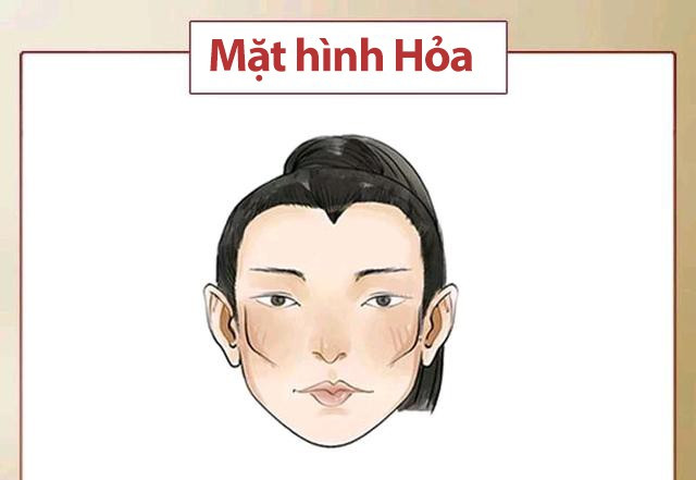 hoa hoa