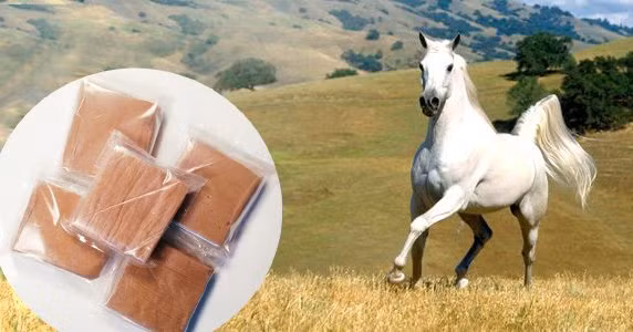 cao ngựa, cao xương ngựa, suy nhược