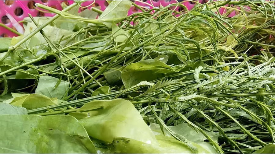 Món thịt thối đặc sản “lúc nhúc ròi” ở vùng núi Sơn La - Ảnh 3.