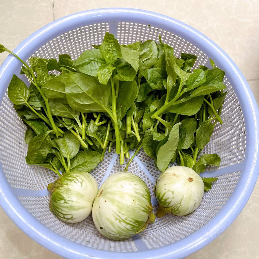 Rau củ để thật khô ráo (không rửa), rau nhặt bỏ cọng hư.