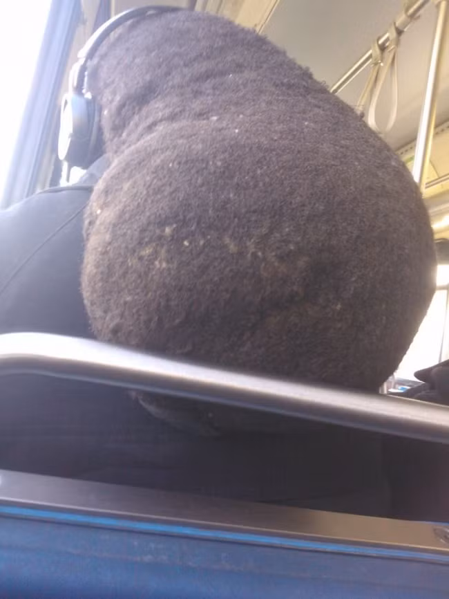 Những kiểu tóc quái dị nhất quả đất, số 7 không dám tin đó là tóc - Ảnh 7.