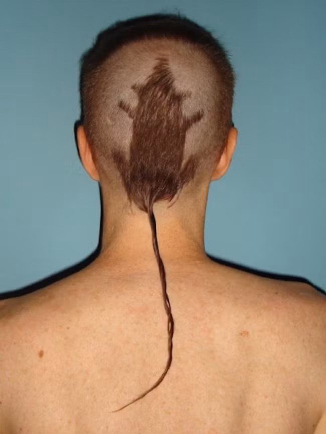 Những kiểu tóc quái dị nhất quả đất, số 7 không dám tin đó là tóc - Ảnh 3.