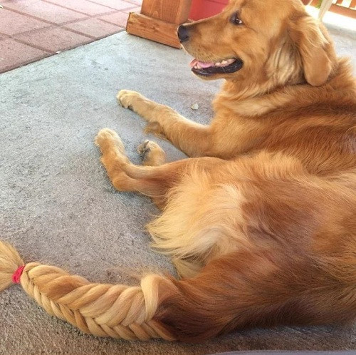 10-anh-hai-hot-nhat-facebook-trong-ngay-7