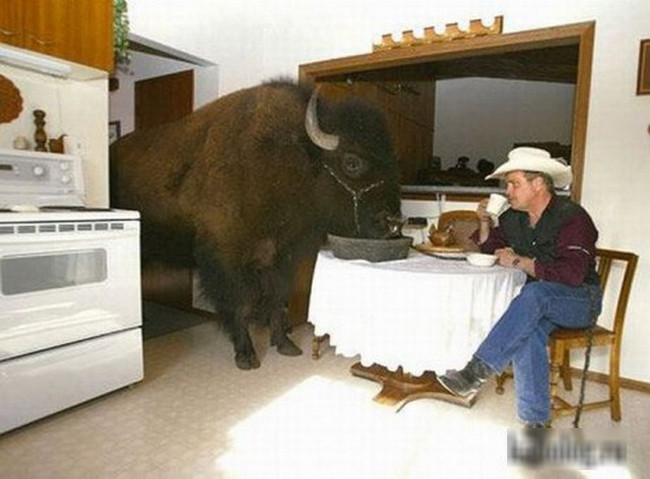 chet cuoi voi nhung con nguoi hai huoc hinh anh 14