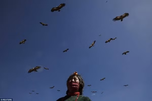 Thay vì hình thức chôn cất hay hỏa táng thông thường thì ở Tây Tạng, họ thường chọn điểu táng hay còn gọi là thiên táng để tiễn đưa người chết. Về cơ bản, đây là nghi thức chia thi thể ra làm nhiều phần nhỏ rồi để làm mồi cho kền kền.