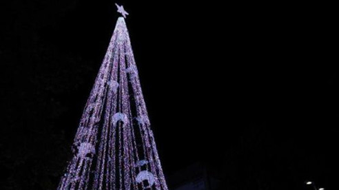 Cây thông Noel lập kỷ lục Guinness với hơn 500.000 bóng đèn 