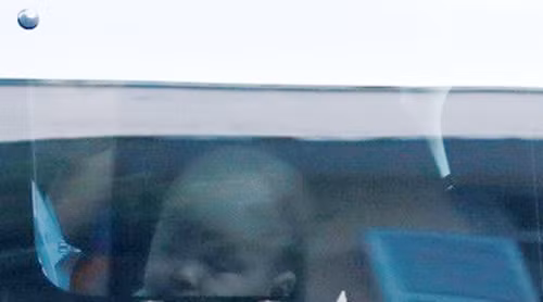 Lần đầu tiên lộ ảnh con trai Tăng Thanh Hà và Louis Nguyễn ảnh 2