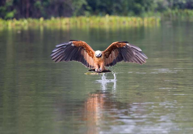 anh: cuoc san moi ngoan muc cua nhung "chua te bau troi" hinh 10