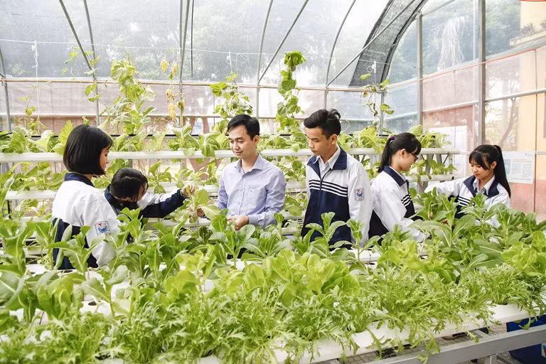 Hoạt động giáo dục ngoài giờ lên lớp đòi hỏi nhà trường phải giữ vai trò chủ đạo. Ảnh minh họa/ INT